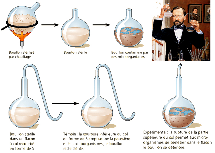 Pasteur